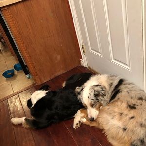 Meet your Posher, Kelsey